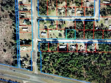 WILLISTON FL Property