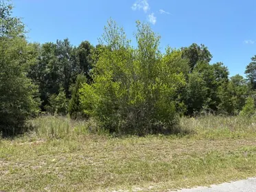 HERNANDO FL Property