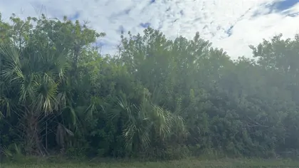 PORT CHARLOTTE FL Property