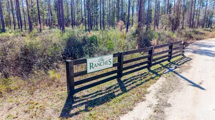 LAKE BUTLER FL Property