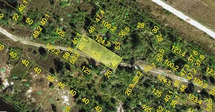 PUNTA GORDA FL Property