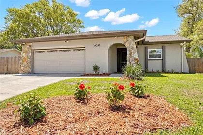 SPRING HILL FL Home