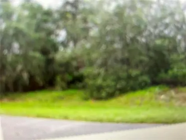 KISSIMMEE FL Property
