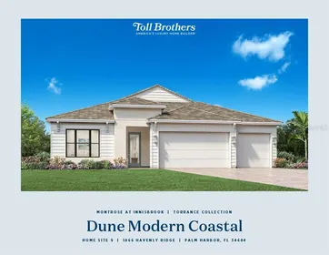 PALM HARBOR FL Home