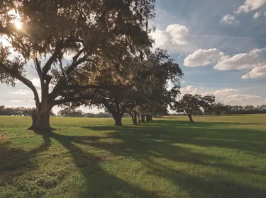 REDDICK FL Property