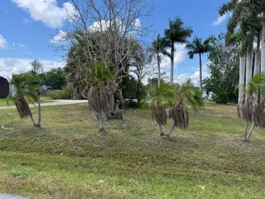 PORT CHARLOTTE FL Property