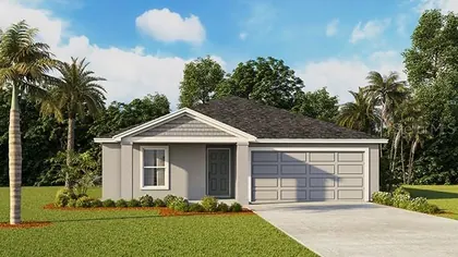 SUMMERFIELD FL Home