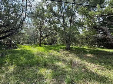 HOMOSASSA FL Property