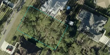 PALM COAST FL Property