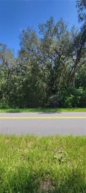 DUNNELLON FL Property