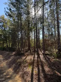 INTERLACHEN FL Property