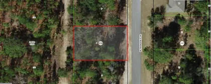 CITRUS SPRINGS FL Property