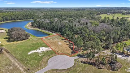 UMATILLA FL Property