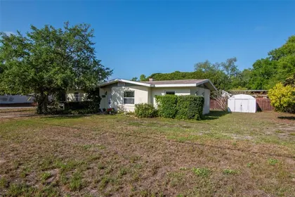 DUNEDIN FL Home