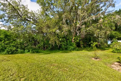 EUSTIS FL Property