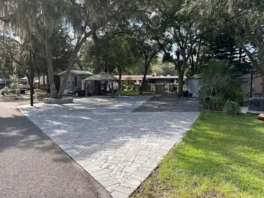 SALT SPRINGS FL Property