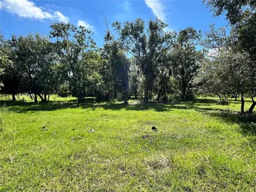 SEFFNER FL Property