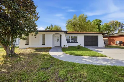 OLDSMAR FL Home