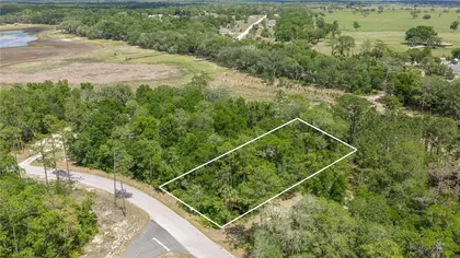 DUNNELLON FL Property