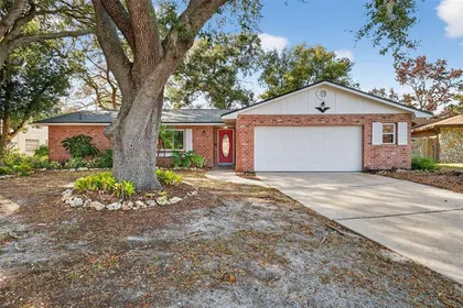 MOUNT DORA FL Home