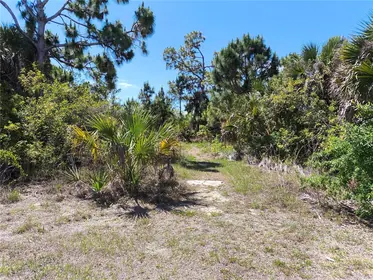 PORT CHARLOTTE FL Property