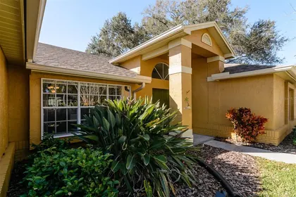 PALM HARBOR FL Home