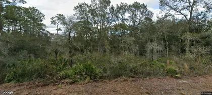 WEBSTER FL Property