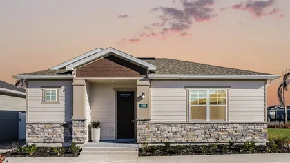 MOUNT DORA FL Home