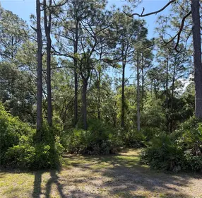 OCKLAWAHA FL Property