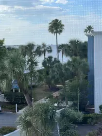 DUNEDIN FL Home