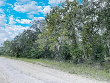 WILLISTON FL Property