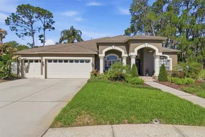 LAND O LAKES FL Home