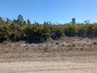 INDIAN LAKE ESTATES FL Property