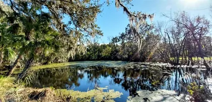 RIVERVIEW FL Property