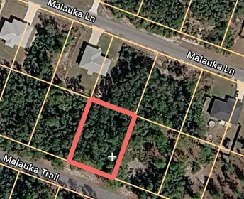 OCKLAWAHA FL Property