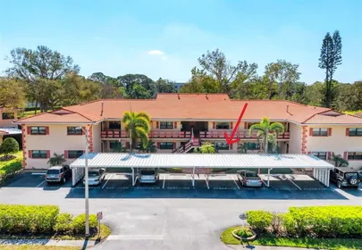 ST PETERSBURG FL Home