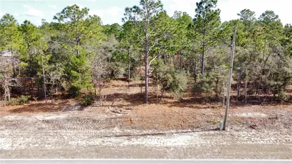 CITRUS SPRINGS FL Property