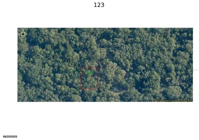 INVERNESS FL Property