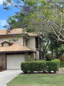 PALM HARBOR FL Home