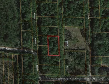 CITRA FL Property