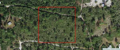 ST CLOUD FL Property