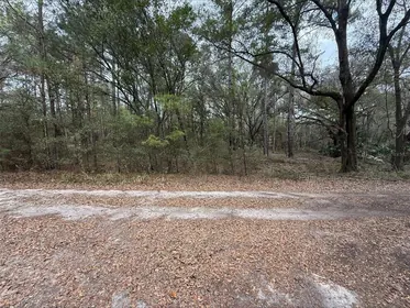 OCALA FL Property