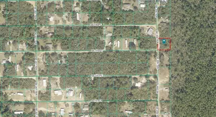 UMATILLA FL Property