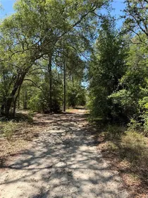 BRONSON FL Property