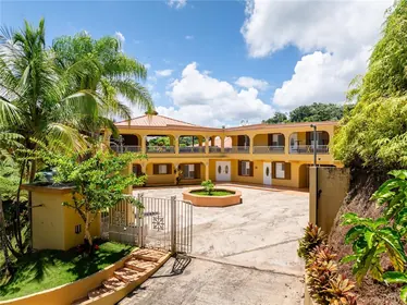 LARES PR Home