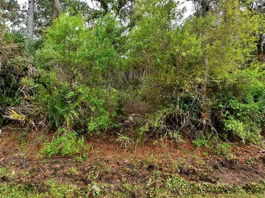 NORTH PORT FL Property