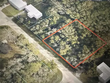 SUMMERFIELD FL Property