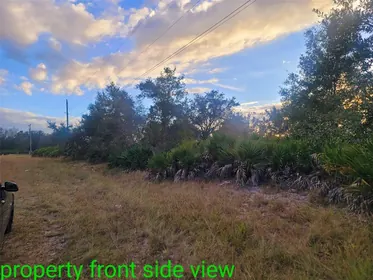 LEHIGH ACRES FL Property