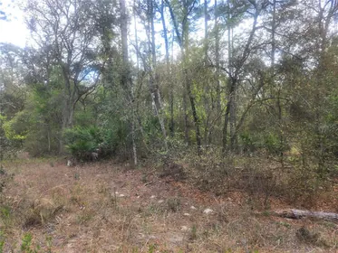 DUNNELLON FL Property