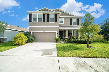 WESLEY CHAPEL FL Home